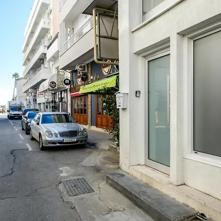 The Seagull Of Finikoudes - Travel & Life * Larnaca